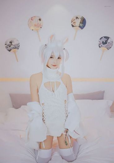电视剧绝对权力