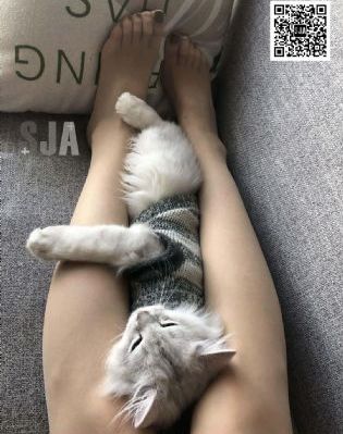 影音先锋男人在线资源