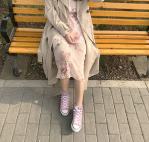 苗翠花与李小环