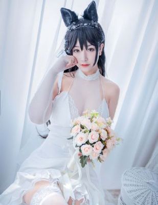 断奶电视剧全集免费