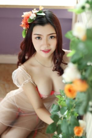 朋友的姐姐观看