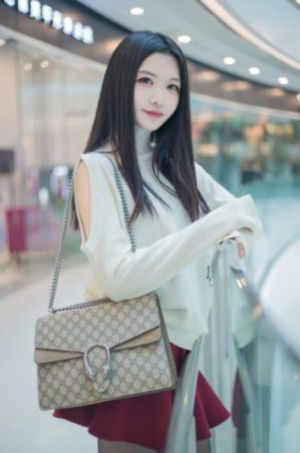 电视剧《永乐大帝》在线观看