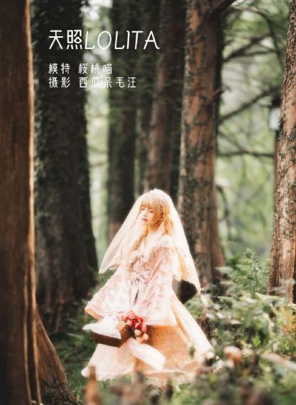 电视剧归路在线播放免费观看高清