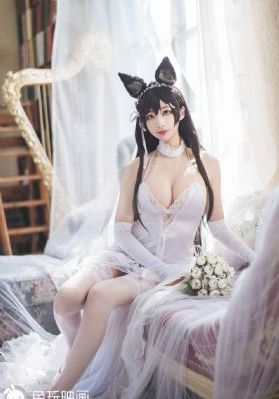 波士顿法律