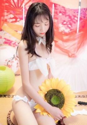 苍狼传说